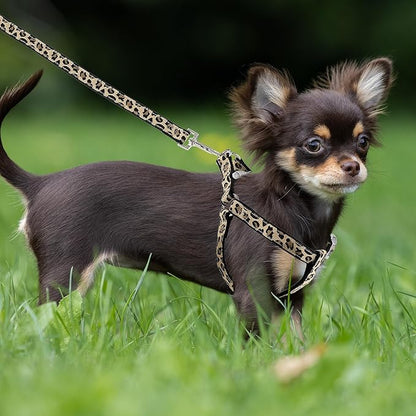 Mile High Life Leopard Dog Harness Collar Leash Set | Adjustable No Pull Dog Halter Harness for Small Breed Dogs | Easy Control for Training Walking | Black, Small MileHighLife