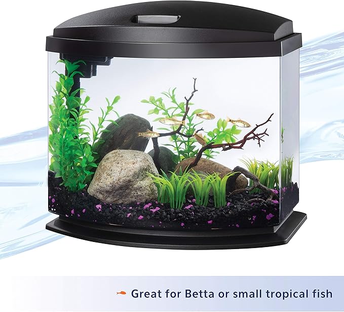 Aqueon LED MiniBow Small Aquarium Fish Tank Kit with SmartClean Technology, Black, 5 Gallon Aqueon
