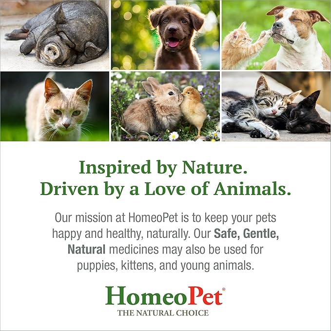 HomeoPet Feline UTI Plus, Safe and Natural Urinary Tract Medicine for Cats, Feline Urinary Tract Support, 15 Milliliters HomeoPet