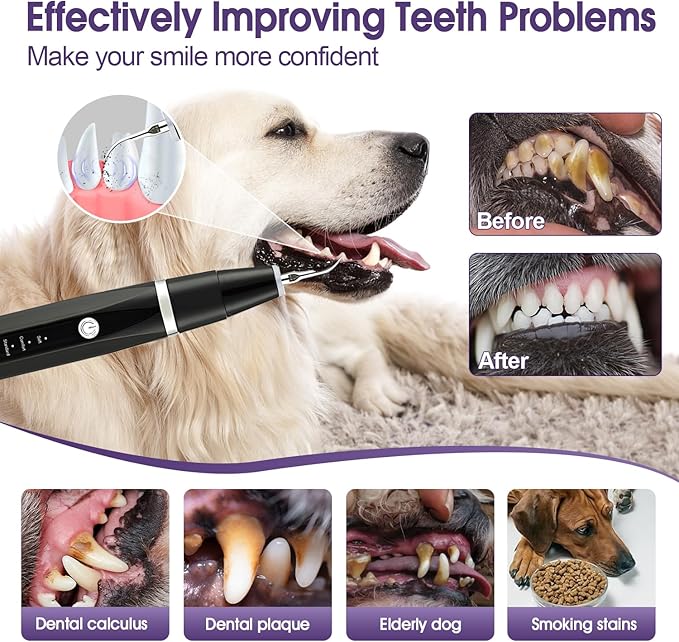 Dog Teeth Cleaning Kit-Dog Tooth Plaque Remover-Ultimate Pet Dental Care Kit - Ultrasonic Teeth Cleaner and Plaque Remover for Dogs | Complete Oral Hygiene Solution-Black VVHOMIFE