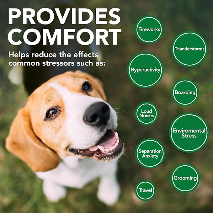 Vet's Best Comfort Calm Calming Soft Chews Dog Supplements | Dog Calming Aid Supports Dog Balances Behavior | Promotes Relaxation | 30 Day Supply VetsBest