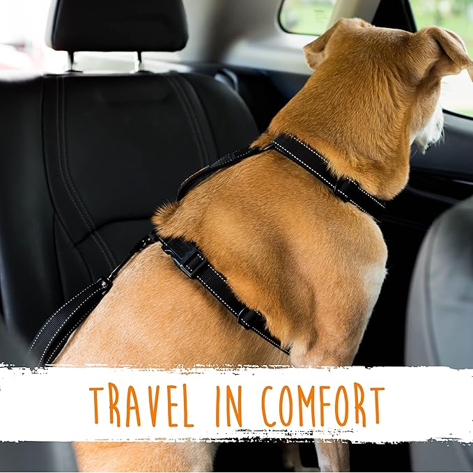 Mighty Paw Dog Seat Belt For Car - LATCH Compatible Adjustable Dog Seatbelt Harness for Small, Medium and Large Pets. Distraction Free Driving, Heavy-Duty Design with Aviation Grade Aluminum Carabiner - PAWPICO