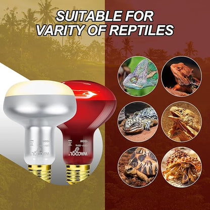 WACOOL 2Pack 100W Reptile Heat Lamp Day & Night Kit, Nature Simulated Basking Daylight & Nightlight Heat Lamp Bulbs for Reptiles & Amphibians, UVA Heat Lamp for Bearded Dragon Gecko Turtle Lizard WACOOLTERRA