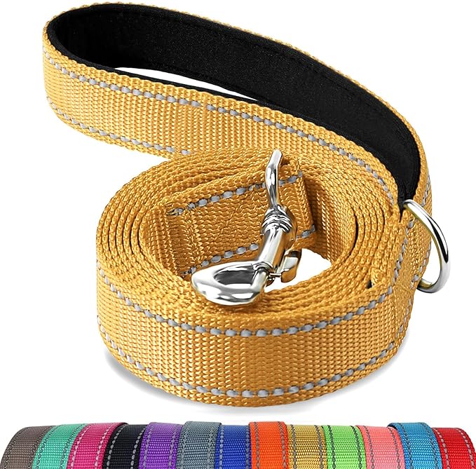 Joytale Double-Sided Reflective Dog Leash, 6 FT/5 FT/4 FT, Padded Handle Nylon Heavy Duty Leashes for Small & Medium Dogs Walking, Khaki, 6FT Joytale
