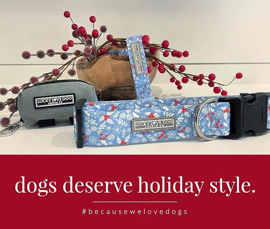 Lucky Love Dog Collar, Cute Winter Dog Collars for Medium Dogs, Blue Snowflake Dog Collar for Male and Female Dogs, Part of Purchase Donated to Dog Rescue - (Winterblue Collar, M) LuckyLoveDog