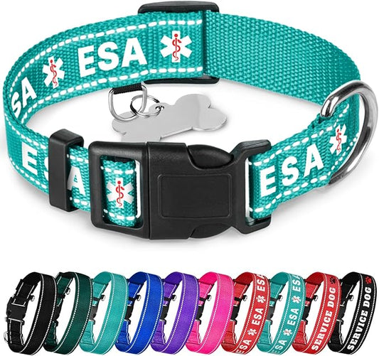 TECEUM Reflective Pet Collar – Teal - ESA – S – Basic Nylon Dog Collar – Quick Release Buckle – Fits Small, Medium and Large Dogs, Puppies, Cats – ESA & Service Dog Options TECEUM