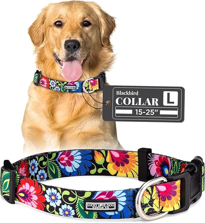 Lucky Love Dog - Adjustable Dog Collar with Easy Click Buckle for Small to Large Dogs, Durable, & Comfortable Collar for Male & Female Dogs, Pet Collar for Puppies & Adult Dogs - Blackbird, Large LuckyLoveDog