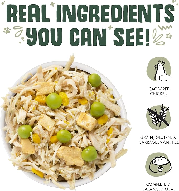 Weruva Classic Dog Food, Green Eggs & Chicken with Chicken Breast & Pumpkin in Gravy, 14oz Can (Pack of 12) - PAWPICO