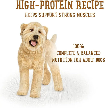 Purina Beneful Gravy Wet Dog Food, Prepared Meals Roasted Chicken Recipe - (8) 10 oz. Tubs - PAWPICO