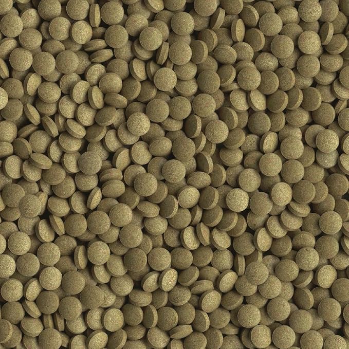Tetra TetraMin Tropical Tablets 1.69 Ounces, Nutritionally Balanced Fish Food For Bottom Feeders Tetra