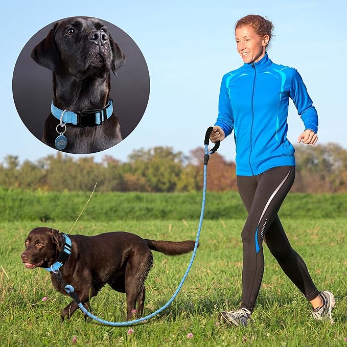 Reflective Dog Collar Padded with Soft Neoprene Breathable Adjustable Nylon Dog Collars for Small Medium Large Dogs (Small (Pack of 1), Vivid Blue Collar+Leash) ladoogo