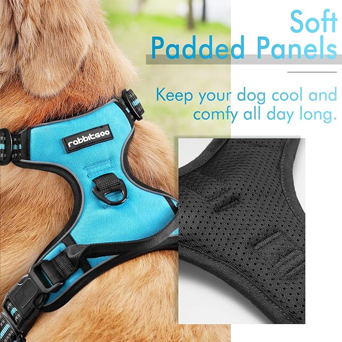 rabbitgoo Dog Harness, No-Pull Pet Harness with 2 Leash Clips, Adjustable Soft Padded Dog Vest, Reflective No-Choke Pet Oxford Vest with Easy Control Handle for Small Dogs, Blue, S - PAWPICO