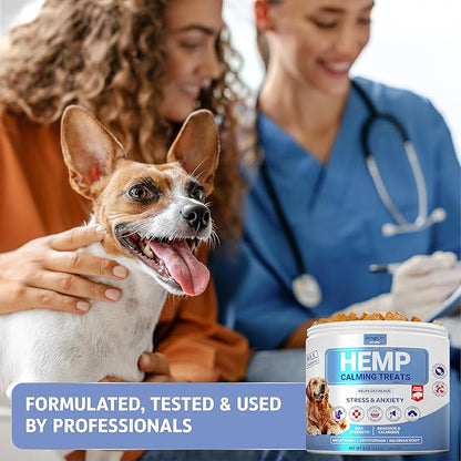 Kinpur Pet Care Hemp Calming and Relaxing Chews for Dogs with Gentle Melatonin Dosage 50mcg - Dog Mood & Behavior Aid During Vet Visits, Thunderstorms, Separation, Car Rides - Beef Flavored 120 Chews KinpurPetCare