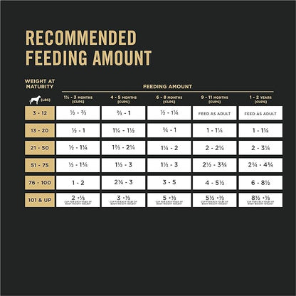 Purina Pro Plan High Protein Puppy Food DHA Lamb & Rice Formula - 6 lb. Bag - PAWPICO