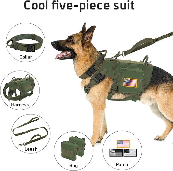 Forestpaw Tactical Dog Harness for Large Dogs,Tactical Dog Collar with Bungee Leash Set,No Pull Military Dog Harness for Dog Walking Training,Adjustable for Medium Large Dogs,Green M Forestpaw