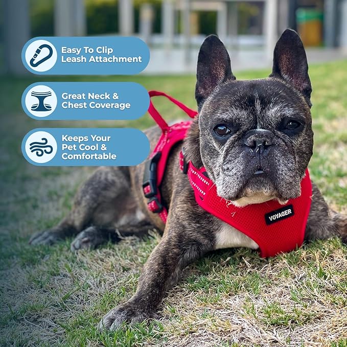 Best Pet Supplies Voyager Adjustable Dog Vest Harness Breathable No Pull Harness for Small, Medium, Large Dogs, Heavy Duty Harness for Walking, Jogging, Easy Step-in, Reflective Stripes - (Red), M BestPetSuppliesLLC