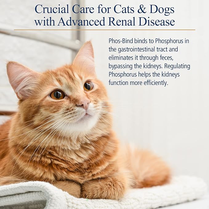 Rx Vitamins Phos-Bind - Kidney Support Supplement Powder - Phosphate Binder for Cats & Dogs for Kidney Health - Supports Normal Kidney Cleanse and Essential Kidney Care - 200g RxVitamins