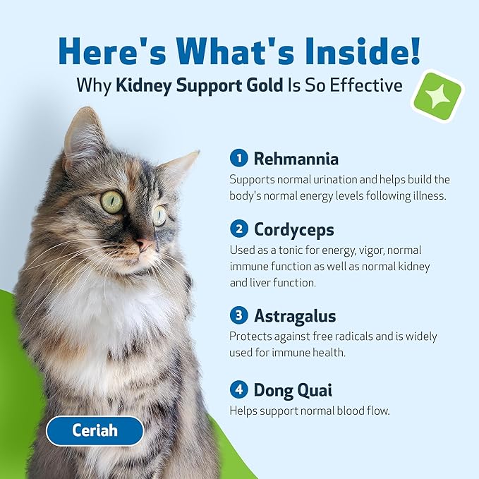 Pet Wellbeing Kidney Support Gold for Cats - Supports Healthy Kidney Function, Fluid Balance, Energy Levels, Rehmannia, Dong Quai - Veterinarian-Formulated Herbal Supplement 2 oz (59 ml) PetWellbeing