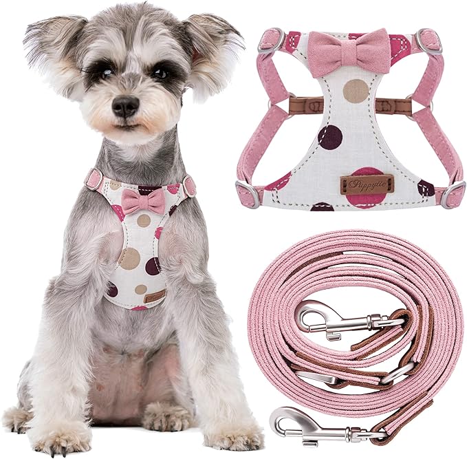 Puppytie No Pull Small Dog Harness with Multifunction Dog Leash,Lightweight Soft Adjustable No Choke Escape Proof Pet Harness Vest Pet Harness Vest,Polka dots Pink,S Puppytie