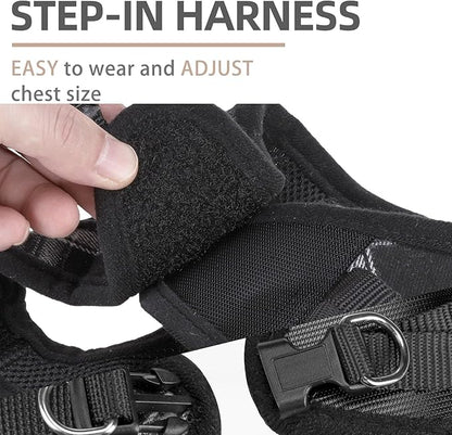 PUPTECK Adjustable Dog Harness Collar and Leash Set Step in No Pull Pet Harness for Small Medium Dogs Puppy and Cats Outdoor Walking Running, Soft Mesh Padded Reflective Vest Harnesses, Black S PUPTECK