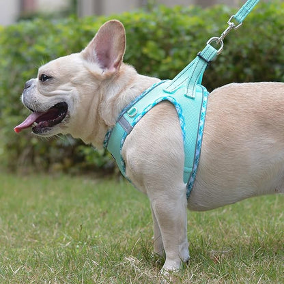 Mercano Soft Mesh Dog Harness and Leash Set, No-Chock Step-in Reflective Breathable Lightweight Easy Walk Escape Proof Vest Harnesses with Safety Buckle for Small Medium Dogs, Cats (Light Green, XXS) PAWPICO