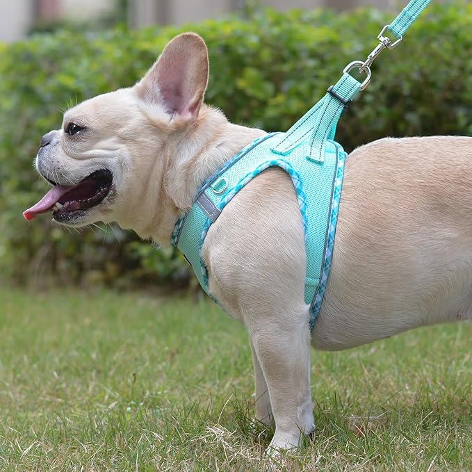 Mercano Soft Mesh Dog Harness and Leash Set, No-Chock Step-in Reflective Breathable Lightweight Easy Walk Escape Proof Vest Harnesses with Safety Buckle for Small Medium Dogs, Cats (Light Green, L) PAWPICO