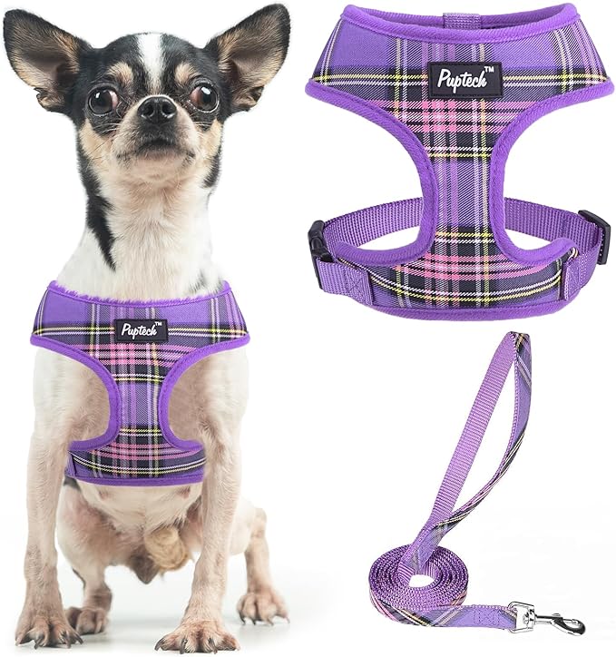 PUPTECK Soft Mesh Dog Harness and Leash Set Pet Puppy Cat Comfort Padded Vest No Pull Harnesses, Purple, XS PUPTECK