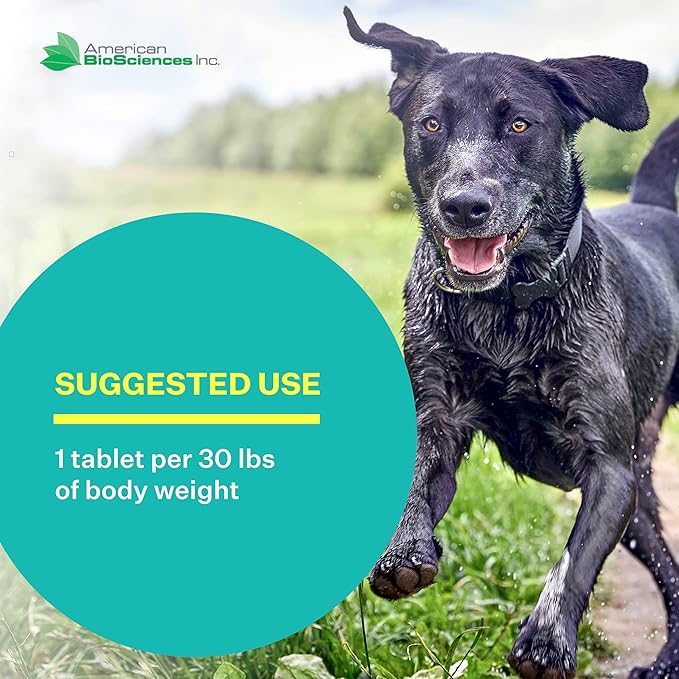 DGP, All-Natural Joint Supplement for Dogs - Joint Support with Turmeric, Boswellia Extract & More - Quick Effect for Immediate Mobility Support - 60 Chewable Pet Tablets AmericanBioSciences