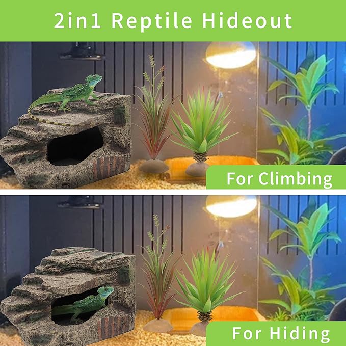 Reptile Hides Hideout Habitat, Reptile Caves for Bearded Dragons, Leopard Geckos, Lizards, Turtles, Snakes, Frogs (Medium-B) PAWPICO