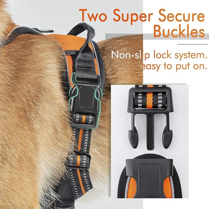 rabbitgoo Dog Harness, No-Pull Pet Harness with 2 Leash Clips, Adjustable Soft Padded Dog Vest, Reflective No-Choke Pet Oxford Vest with Easy Control Handle for Large Dogs, Orange, XL - PAWPICO