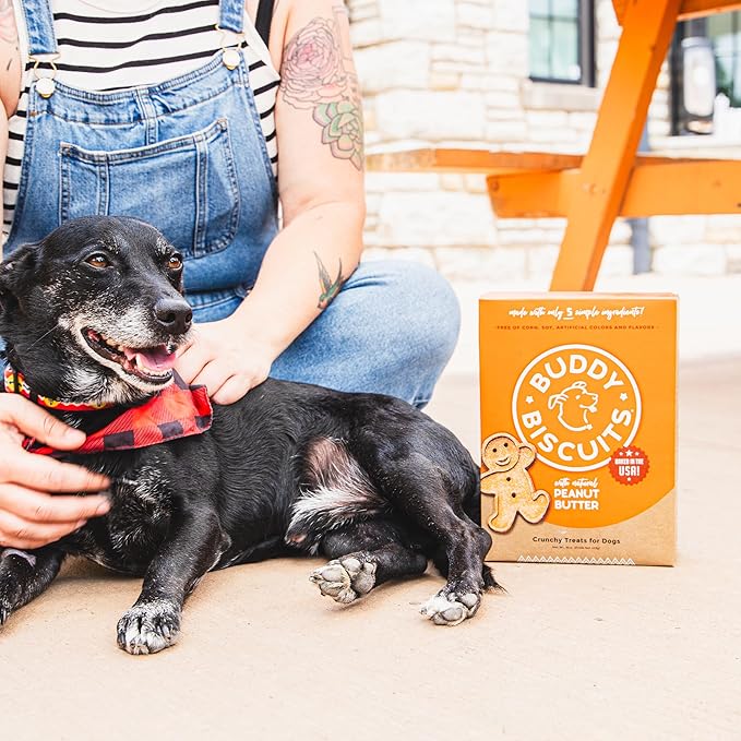 Buddy Biscuits 2 lb Bag of Crunchy Dog Treats, Made with Peanut Butter - PAWPICO