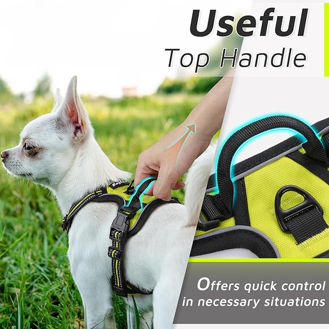 Eagloo Small Dog Harness No Pull, Service Vest with Reflective Strips and Control Handle, Adjustable and Comfortable for Easy Walking, No Choke Pet Harness with 2 Metal Rings, Green, XS GoExplorewithEagloo