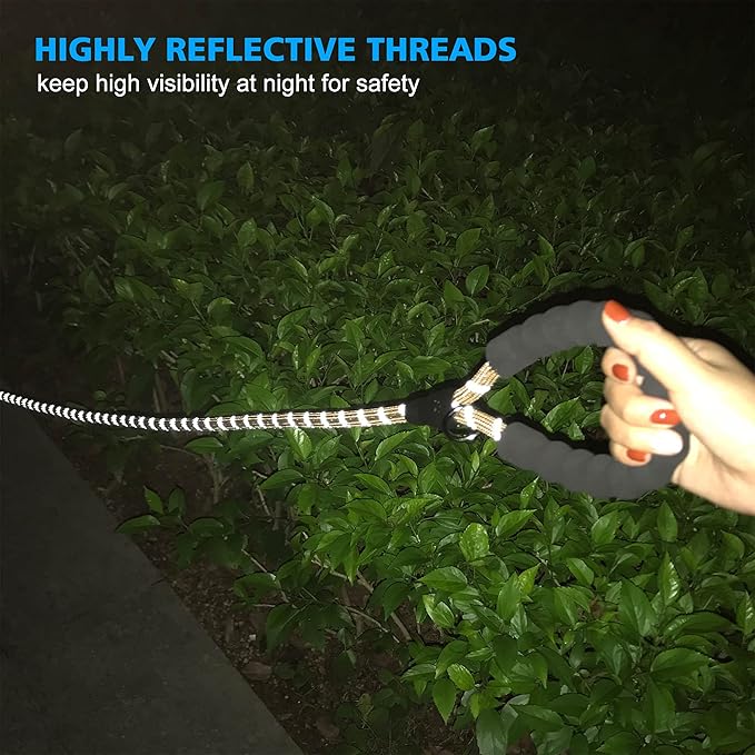 Reflective Dog Collar Padded with Soft Neoprene Breathable Adjustable Nylon Dog Collars for Small Medium Large Dogs (Medium (Pack of 1), Vanilla Collar+Leash) ladoogo