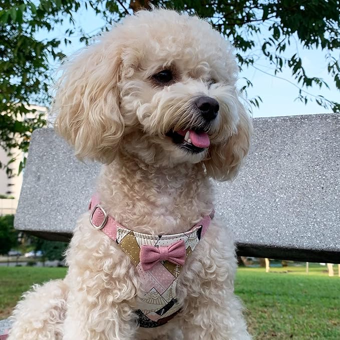 Puppytie No Pull Small Dog Harness with Multifunction Dog Leash,Lightweight Soft Adjustable No Choke Escape Proof Pet Harness Vest Pet Harness Vest,Suede Bow Pink,S Puppytie