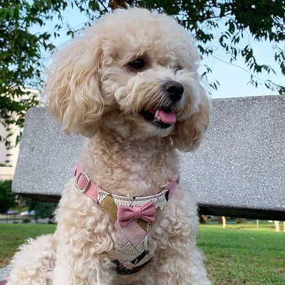 Puppytie No Pull Small Dog Harness with Multifunction Dog Leash,Lightweight Soft Adjustable No Choke Escape Proof Pet Harness Vest Pet Harness Vest,Suede Bow Pink,S Puppytie