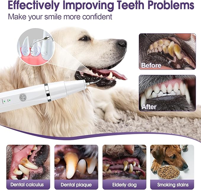 Dog Teeth Cleaning Kit-Dog Tooth Plaque Remover-Ultimate Pet Dental Care Kit - Ultrasonic Teeth Cleaner and Plaque Remover for Dogs | Complete Oral Hygiene Solution-White VVHOMIFE