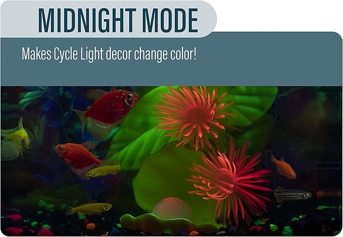 GloFish Aquarium Kit Fish Tank with LED Lighting and Filtration Included GloFish