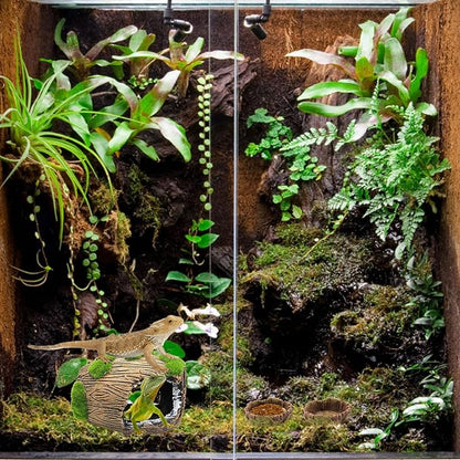 Gecko Hide Cave with 2Pcs Feeder, Reptile Hideout for Hermit Crab, Bearded Dragon,Lizard,Turtles,Snake Reptile Hideout Cave,Reptile Habitat Terrarium Tanks Decor Accessorie Dexspoeny
