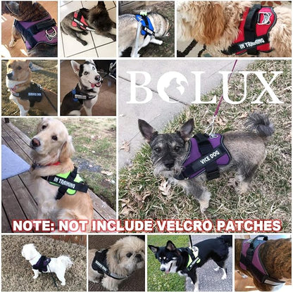 Bolux Dog Harness, No-Pull Reflective Dog Vest, Breathable Adjustable Pet Harness with Handle for Outdoor Walking - No More Pulling, Tugging or Choking (Green, XL) Bolux