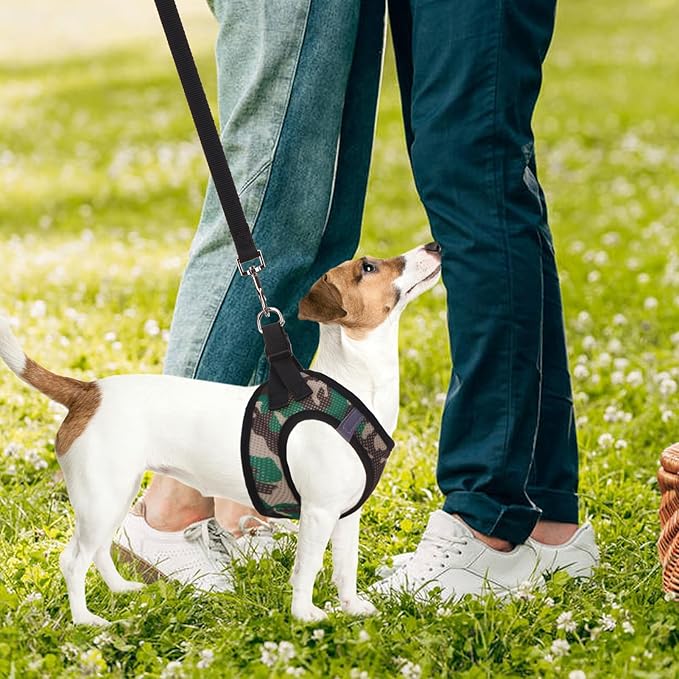 PUPTECK Adjustable Dog Harness Collar and Leash Set Step in No Pull Pet Harness for Small Medium Dogs Puppy and Cats Outdoor Walking Running, Soft Mesh Padded Reflective Vest Harnesses PUPTECK