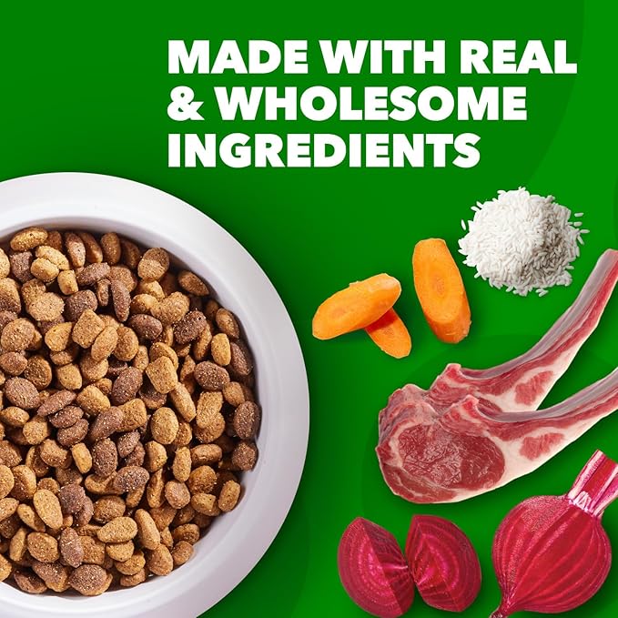 IAMS Minichunks Adult Dry Dog Food Lamb & Rice Recipe Dog Kibble, 30 lb. Bag - PAWPICO