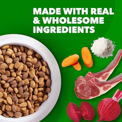 IAMS Minichunks Adult Dry Dog Food Lamb & Rice Recipe Dog Kibble, 30 lb. Bag - PAWPICO