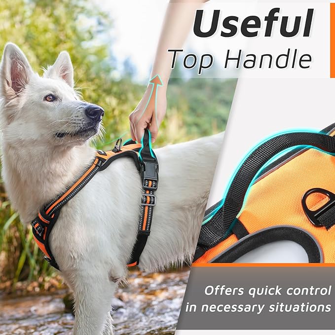 Eagloo Dog Harness Small Sized Dog, No Pull Service Vest with Reflective Strips and Control Handle, Adjustable and Comfortable for Easy Walking, No Choke Pet Harness with 2 Metal Rings, Orange, S GoExplorewithEagloo