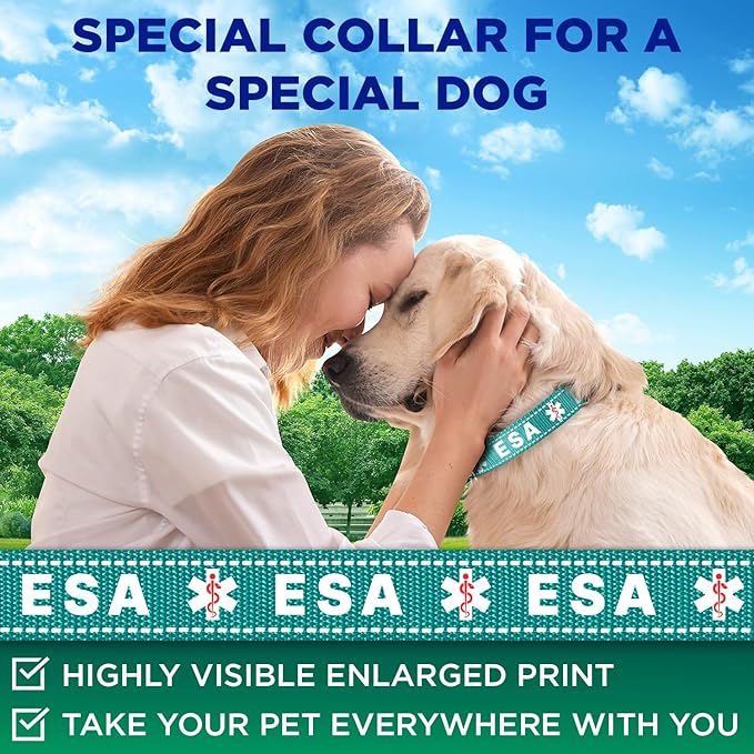 TECEUM Reflective Pet Collar – Teal - ESA – S – Basic Nylon Dog Collar – Quick Release Buckle – Fits Small, Medium and Large Dogs, Puppies, Cats – ESA & Service Dog Options TECEUM