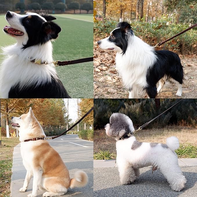 Leather Dog Leash 5ft for Small Dogs,Braided Leather Leash and Dog Collar Set,Strong Dog Training Leash,Soft Comfortable Dog Training Leather Leash and Dog Walking Leash for Small Dogs Brown KILISTEELS