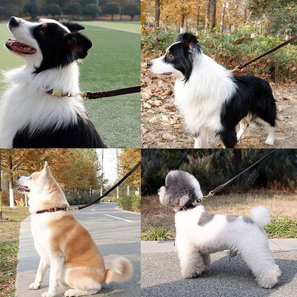 Leather Dog Leash 5ft for Small Dogs,Braided Leather Leash and Dog Collar Set,Strong Dog Training Leash,Soft Comfortable Dog Training Leather Leash and Dog Walking Leash for Small Dogs Brown KILISTEELS