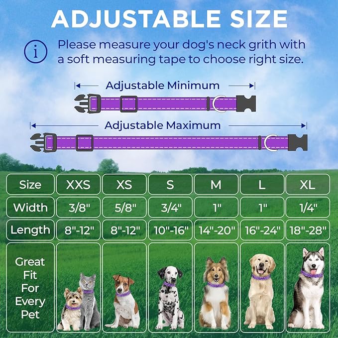 TECEUM Reflective Pet Collar – Purple – XL – Basic Nylon Dog Collar – Quick Release Buckle – Fits Small, Medium and Large Dogs, Puppies, Cats – ESA & Service Dog Options TECEUM