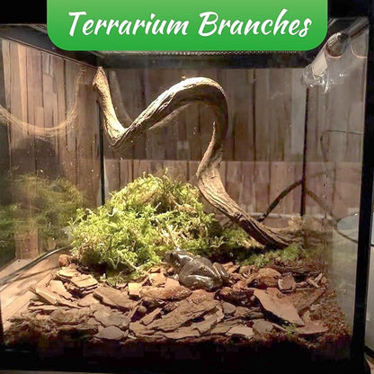 Reptile Climbing Branch Decor Wood Snake Terrarium Branches Lizard Habitat Decorations Wooden Tree Trunk Ornament for Bearded Dragon Geckos Chameleon Frog Pack of 4 (14-16 inch) Apatal