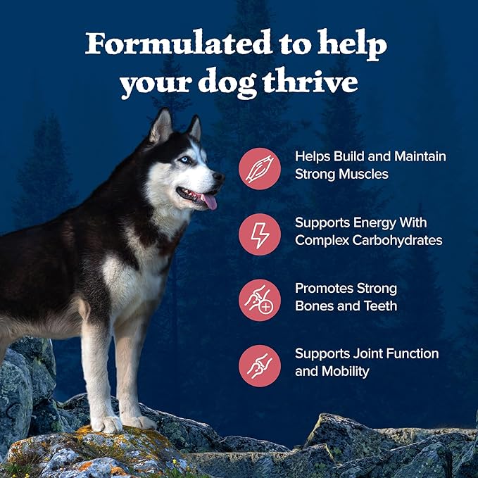 Blue Buffalo Wilderness Adult High-Protein Dry Dog Food Natural Salmon WITH WHOLESOME GRAINS - PAWPICO