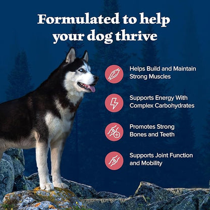 Blue Buffalo Wilderness Adult High-Protein Dry Dog Food Natural Salmon WITH WHOLESOME GRAINS - PAWPICO